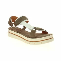 POIVRE DE CAYENNE POUME