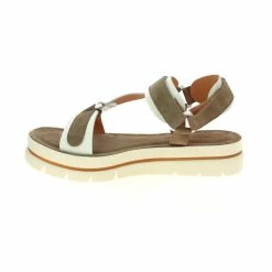 POIVRE DE CAYENNE POUME 11 POIVRE DE CAYENNE POUME -Unisa -magasin 0220701 5